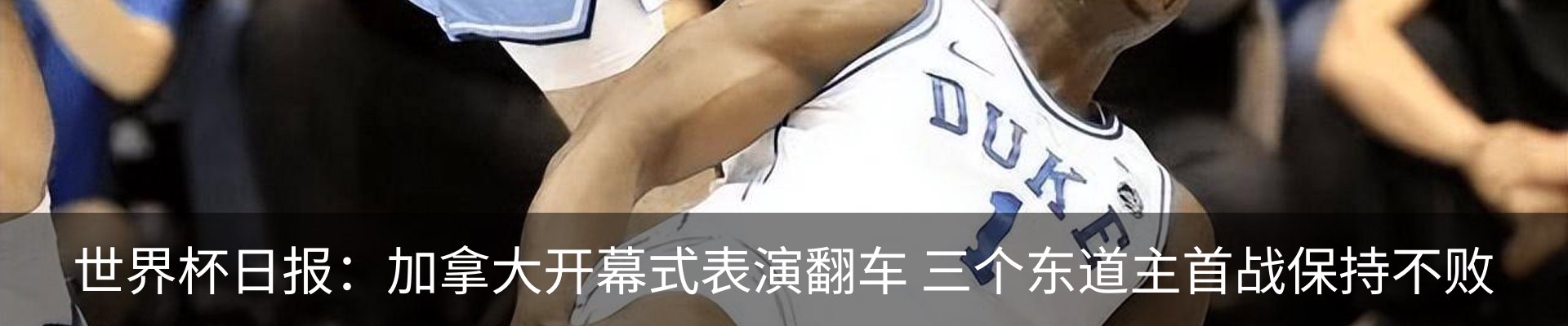最新动态